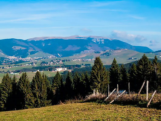 Escursione bosco ad Asiago