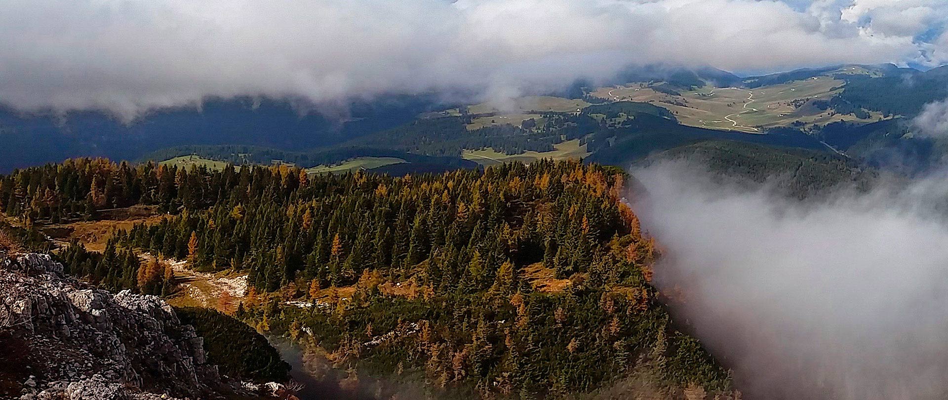 Bosco di Asiago