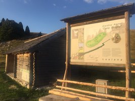 bosco roccia guidealtopiano w