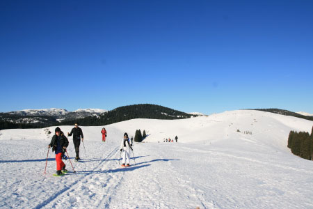Snowshoeing and snow outputs