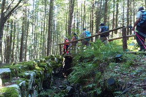 bosco roccia guidealtopiano w