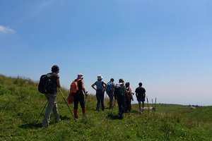 bosco roccia guidealtopiano w n4