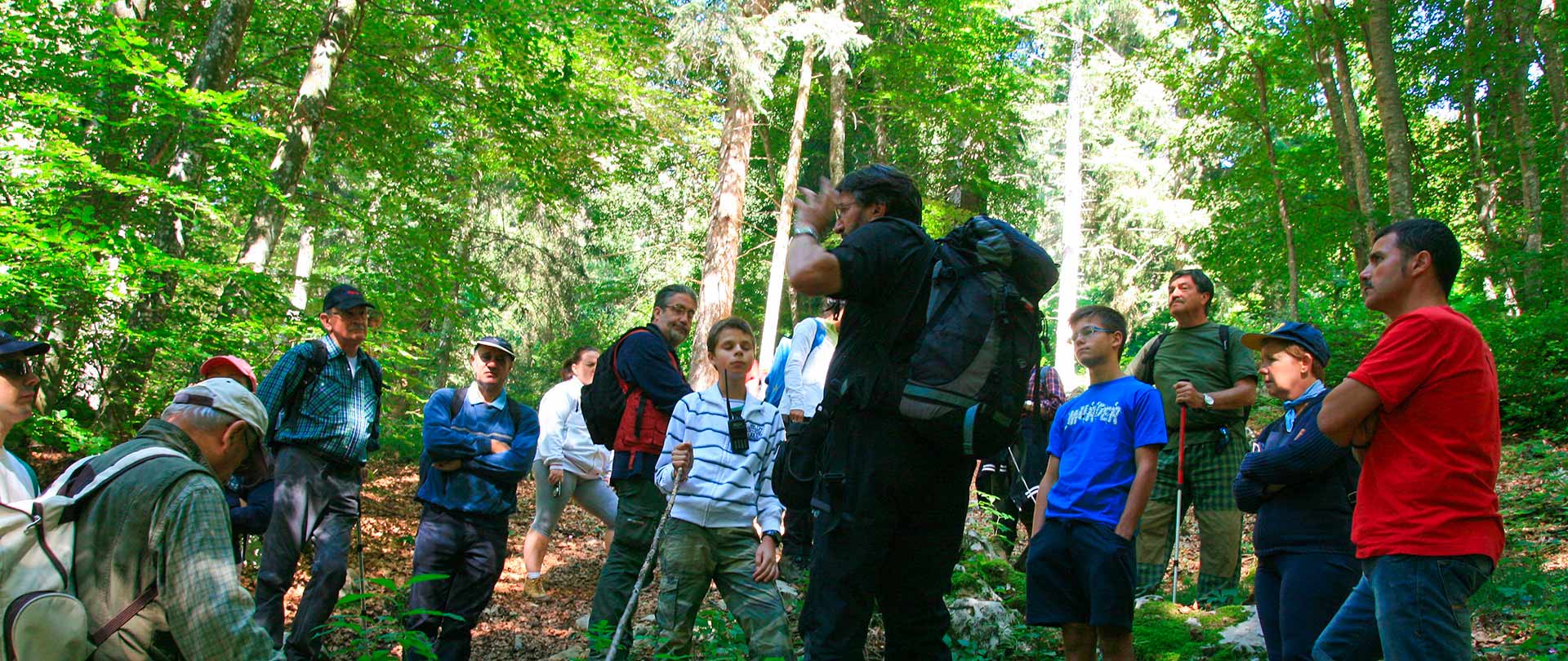 Sosta fra gli alberi per una spiegazione