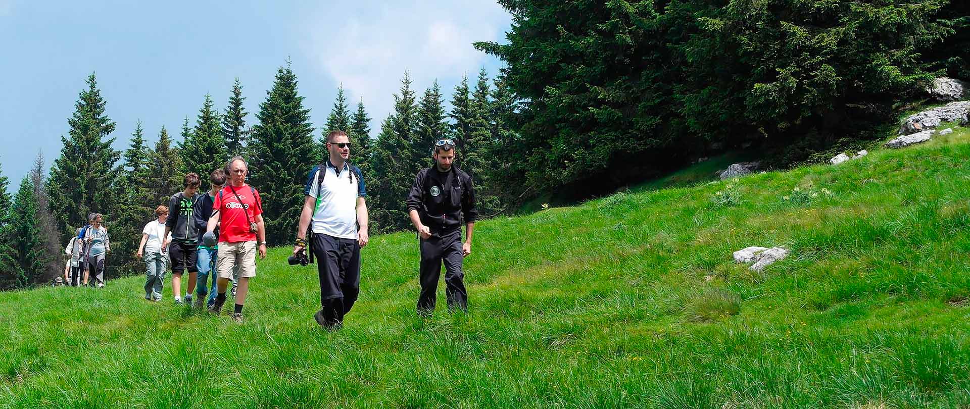 Gruppo di persone esce dal bosco