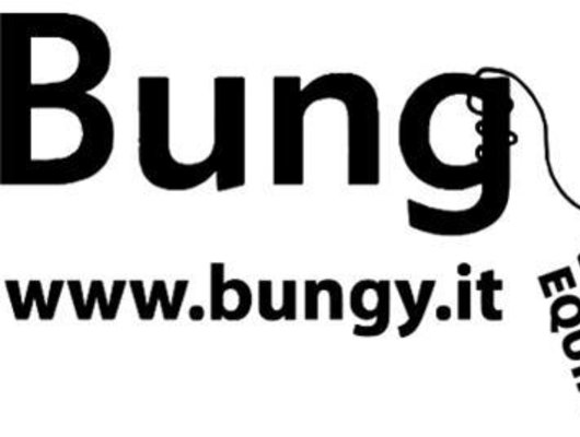Bungee